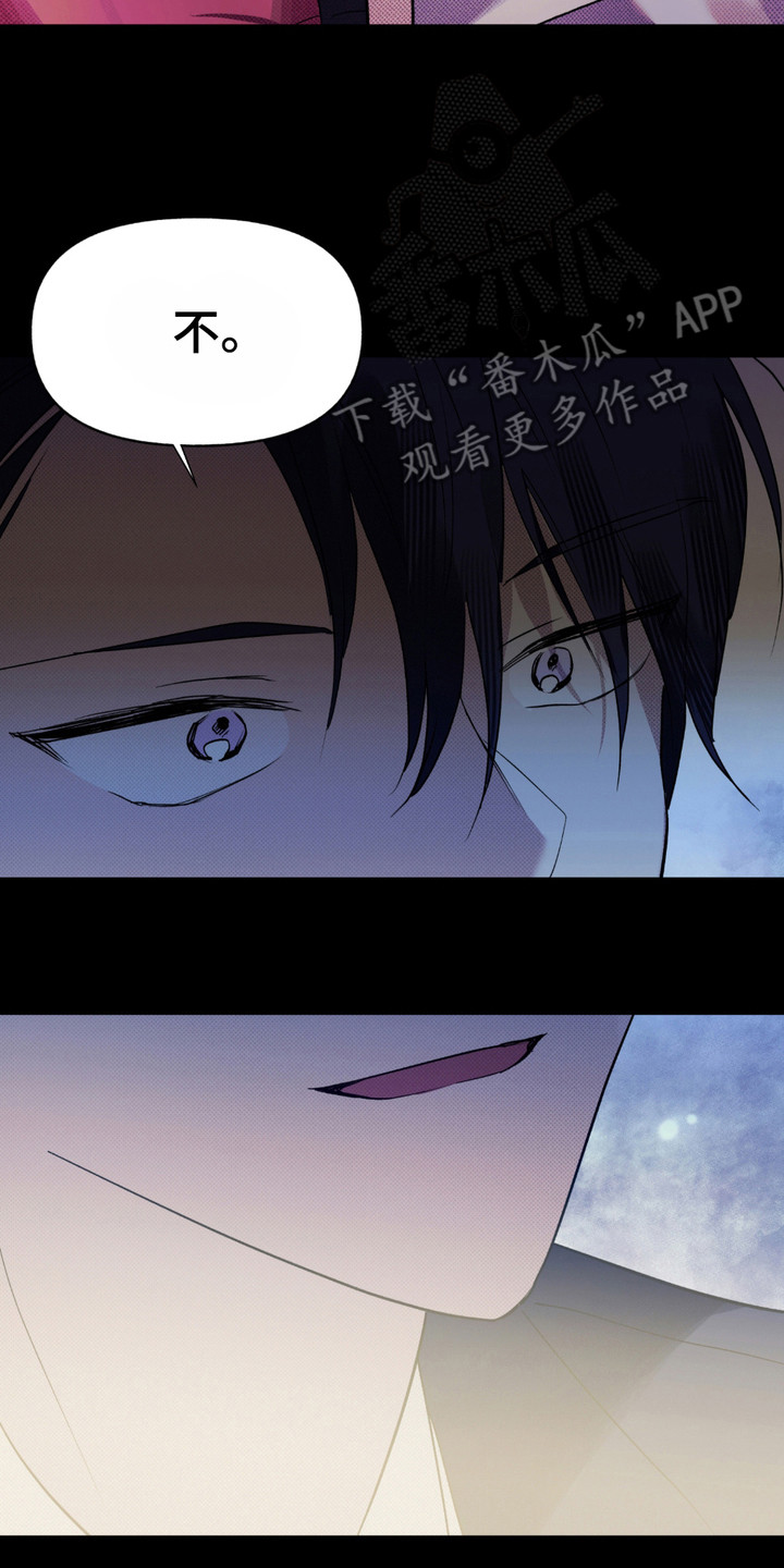 我的小笨熊漫画,第8章：笨熊4图