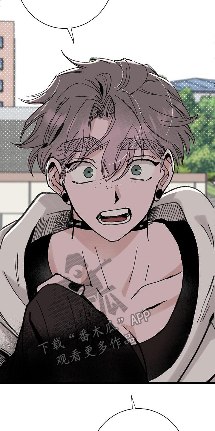 微醺蔷薇漫画,第10章：道歉4图