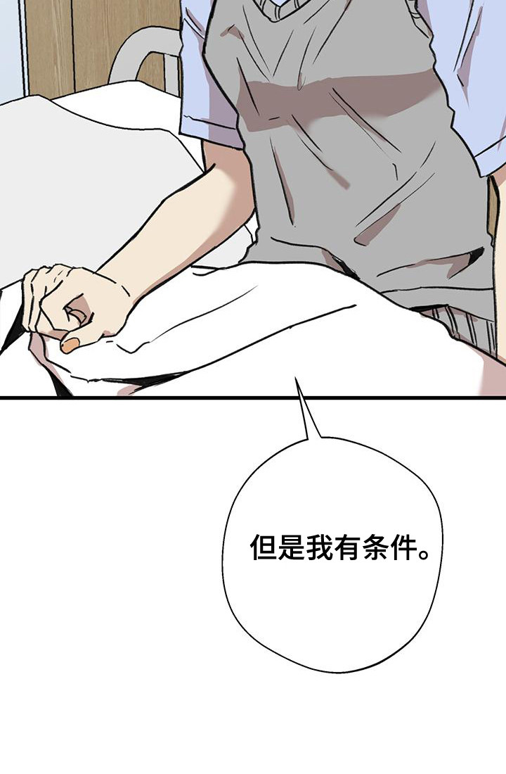 微醺蔷薇漫画,第16章：请求1图