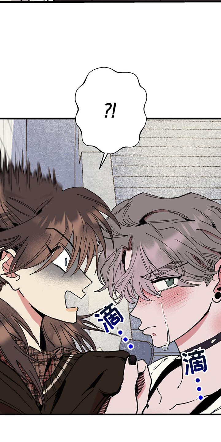 微醺蔷薇漫画,第10章：道歉1图