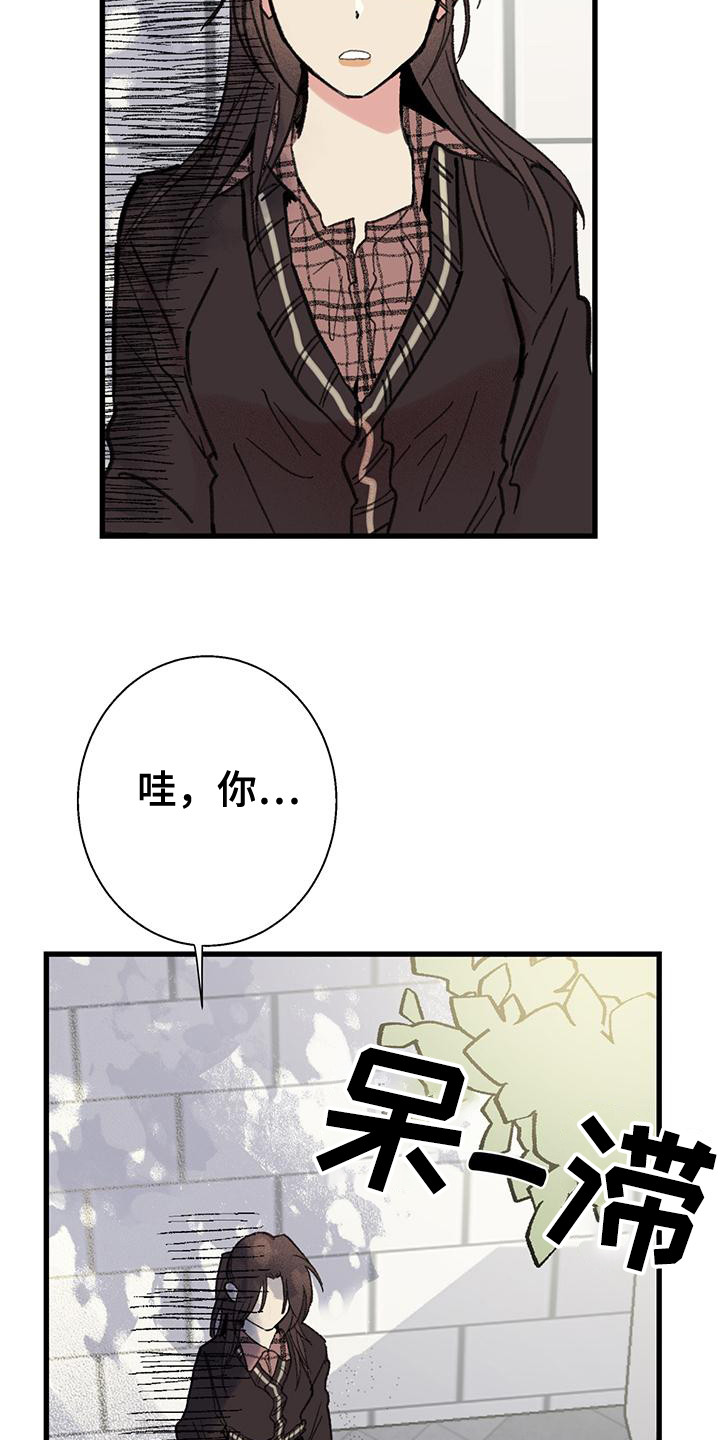 微醺蔷薇漫画,第11章：说出口4图
