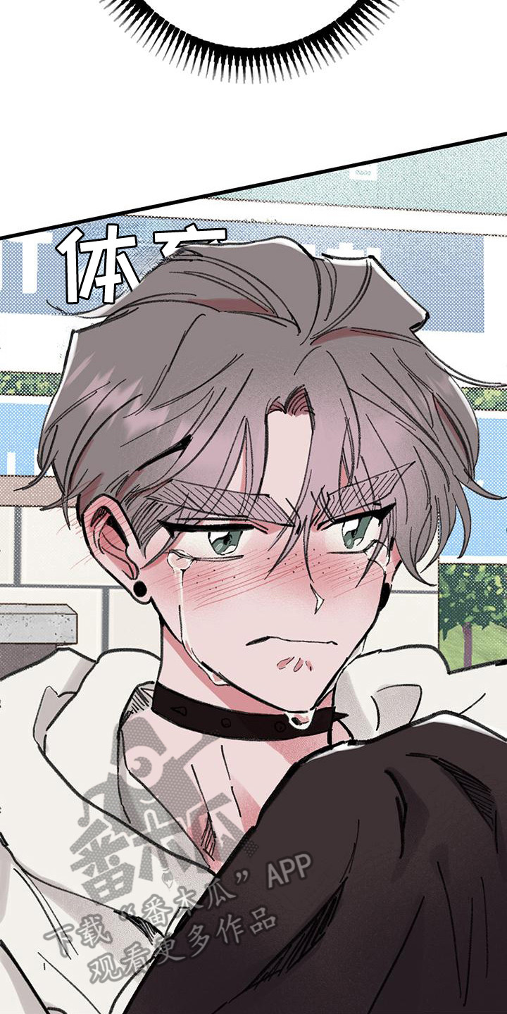 微醺蔷薇漫画,第10章：道歉5图