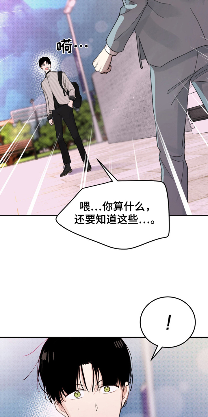 随声而动插件功能实测漫画,第3章：大胆的决定5图