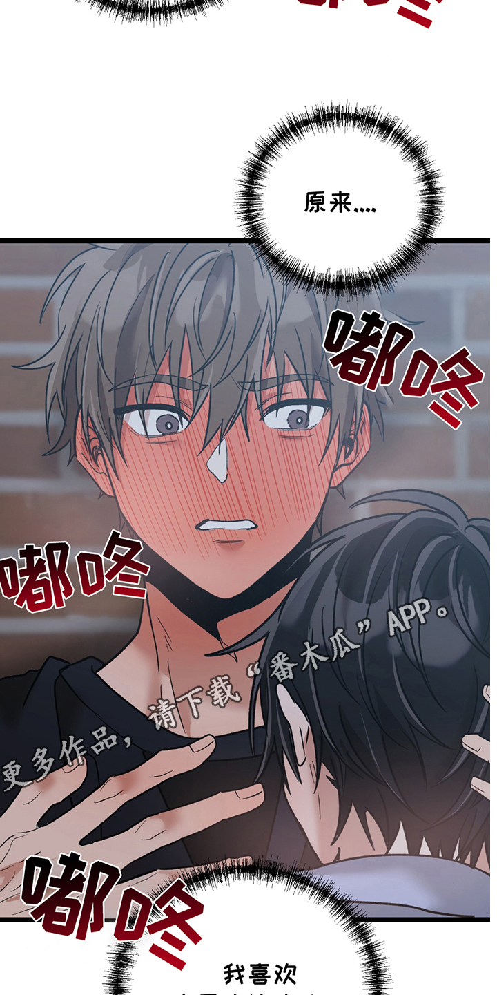 玩具合同全集漫画,第9章：原来5图