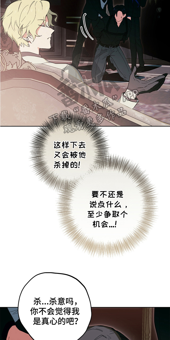 银幕世界漫画,第13章：杀意4图