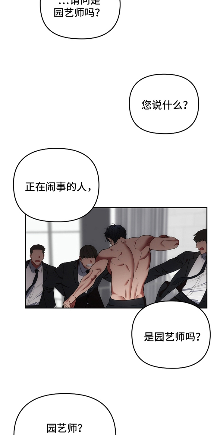 蓝目菊养殖方法和注意事项漫画,第6章：闹事的人4图
