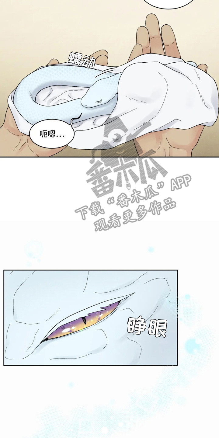 螭龙纹饰漫画,第2章：唤醒4图