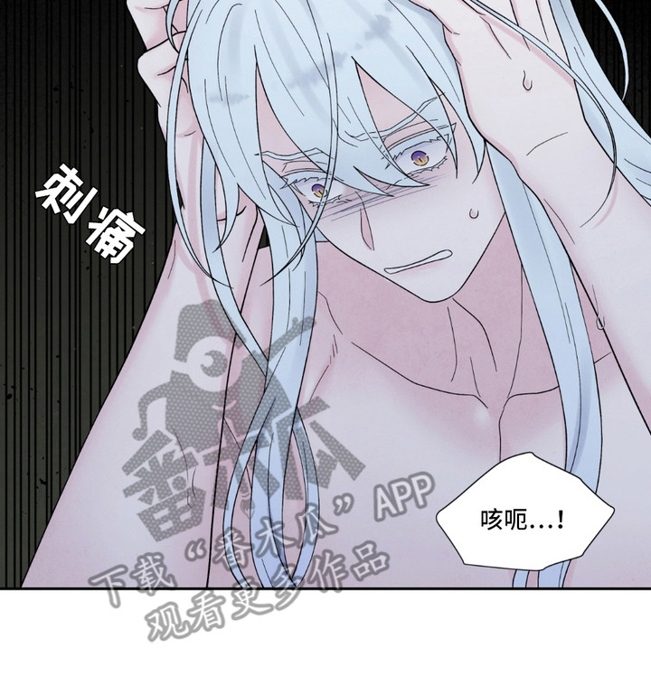 化螭为龙漫画,第6章：丑态5图