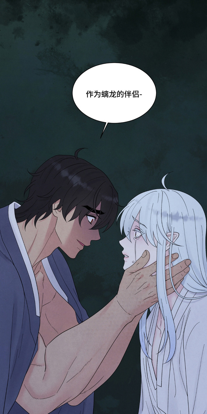 螭龙纹饰漫画,第15章：编造过去1图