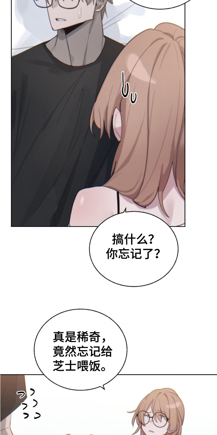 婚礼邂逅漫画,第10章：婉拒5图
