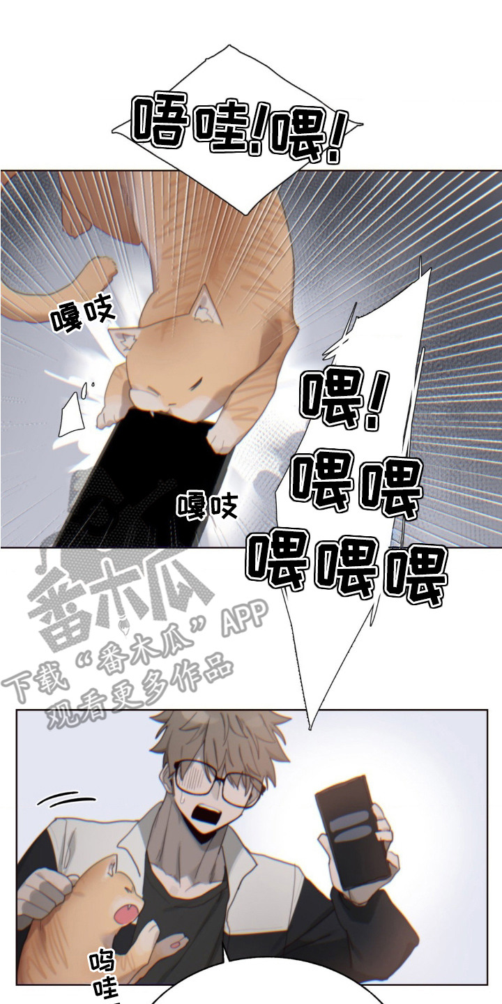 婚礼邂逅漫画,第12章：未接来电4图