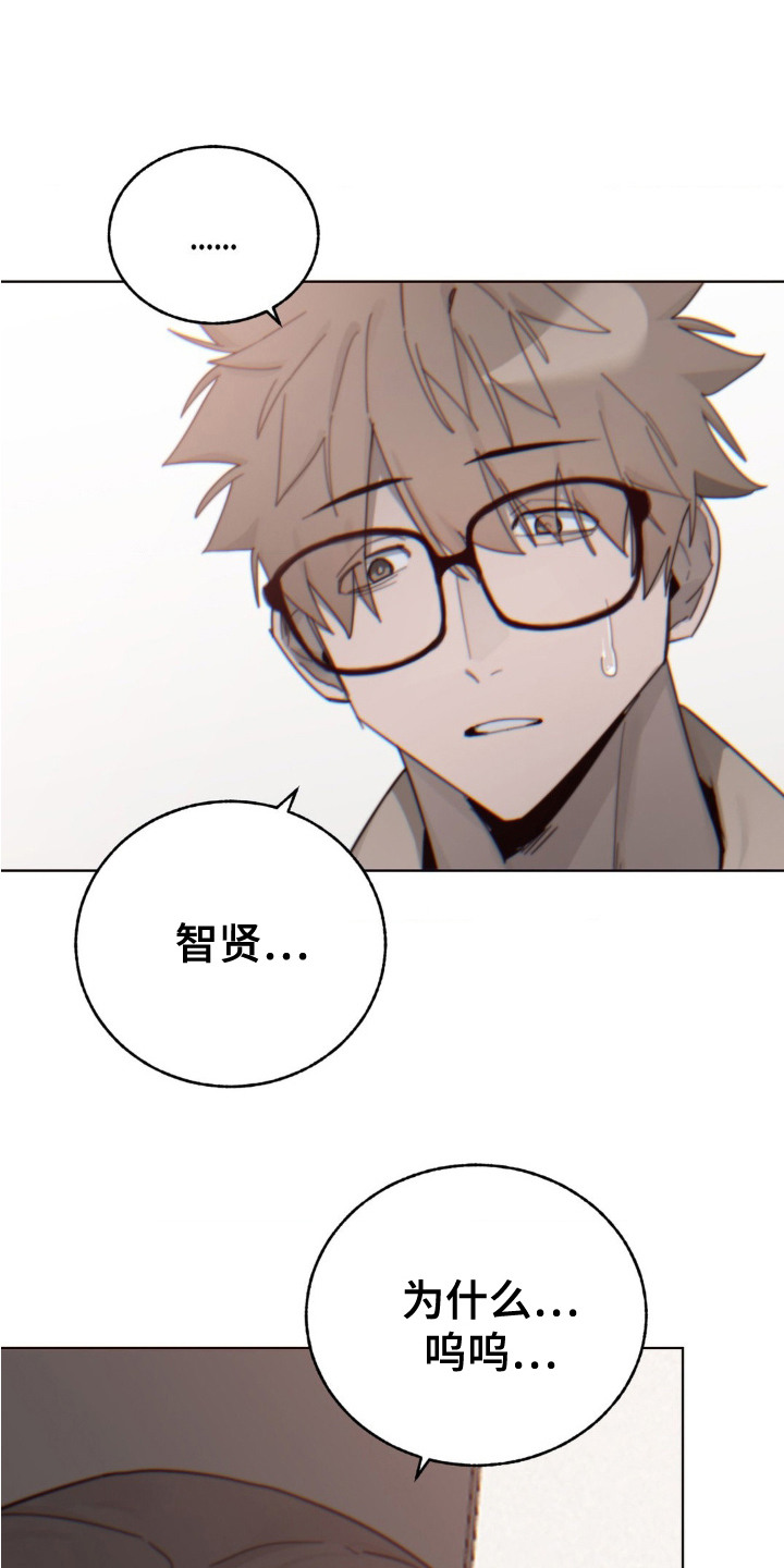 婚礼邂逅漫画,第21章：突然出现4图