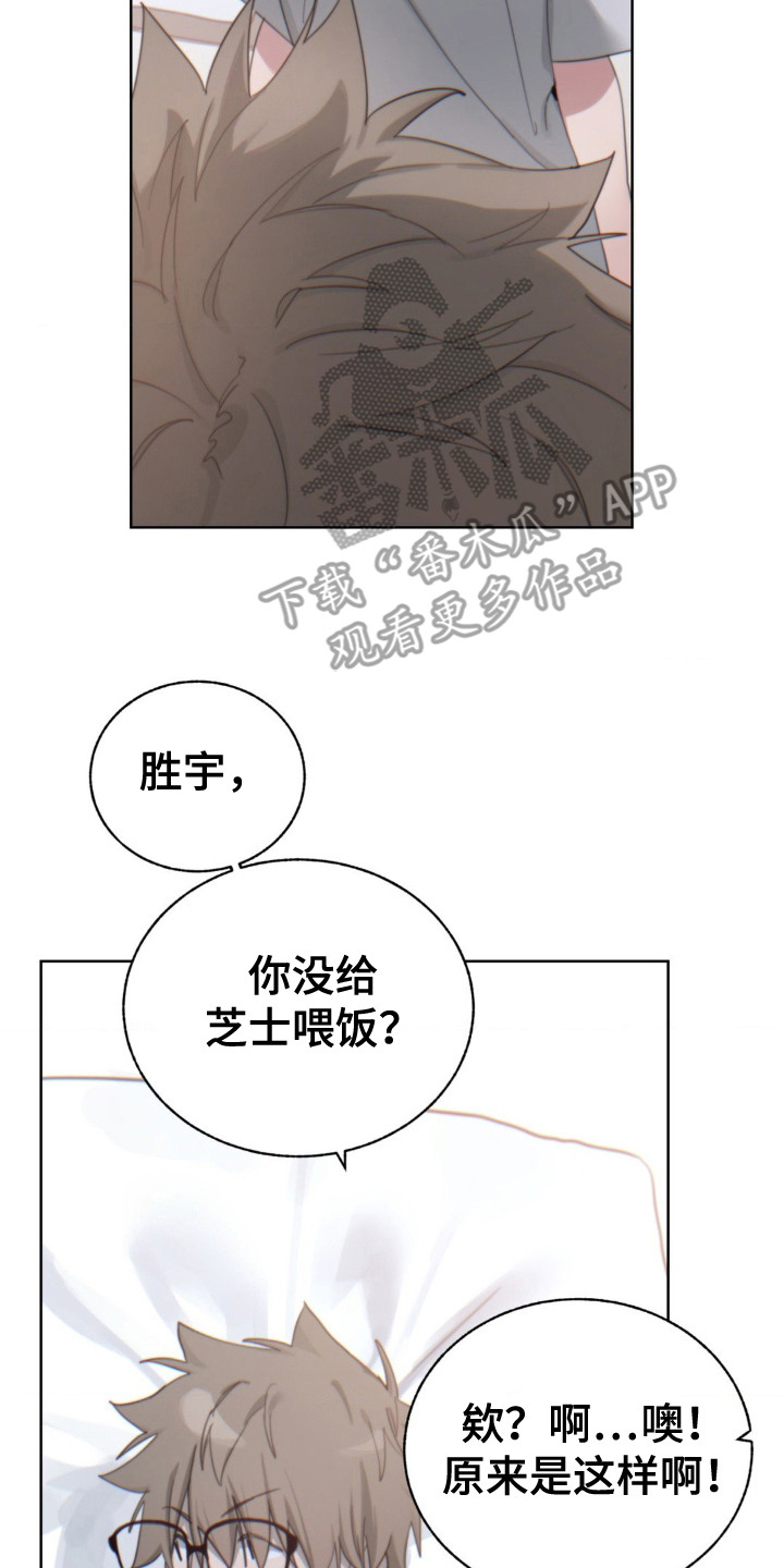 婚礼邂逅漫画,第10章：婉拒4图