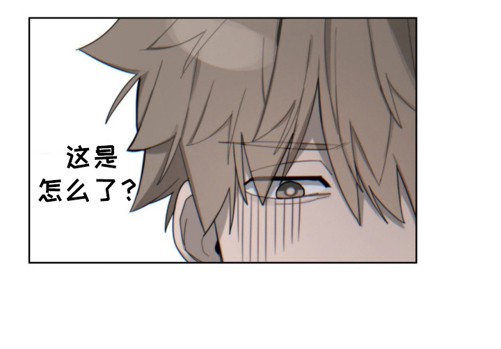 婚礼邂逅漫画,第9章：秘诀2图