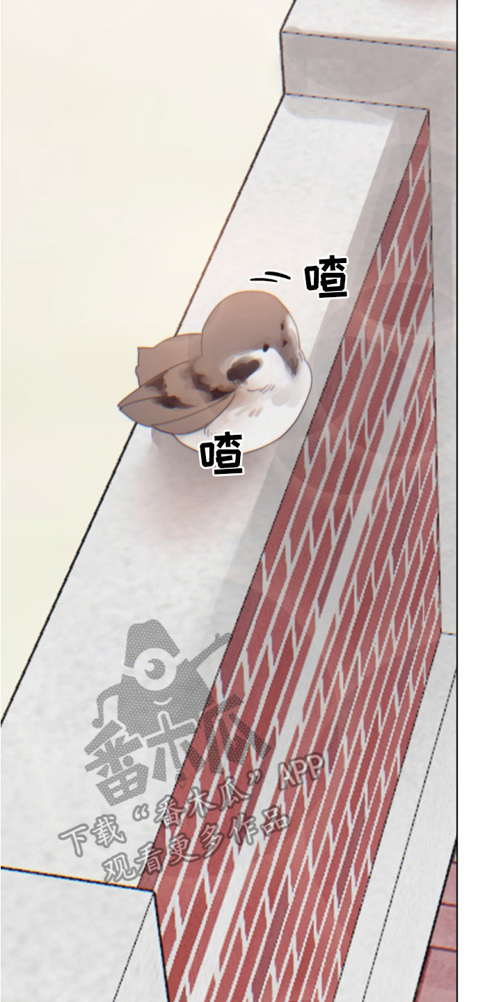 婚礼邂逅漫画,第19章：想念4图