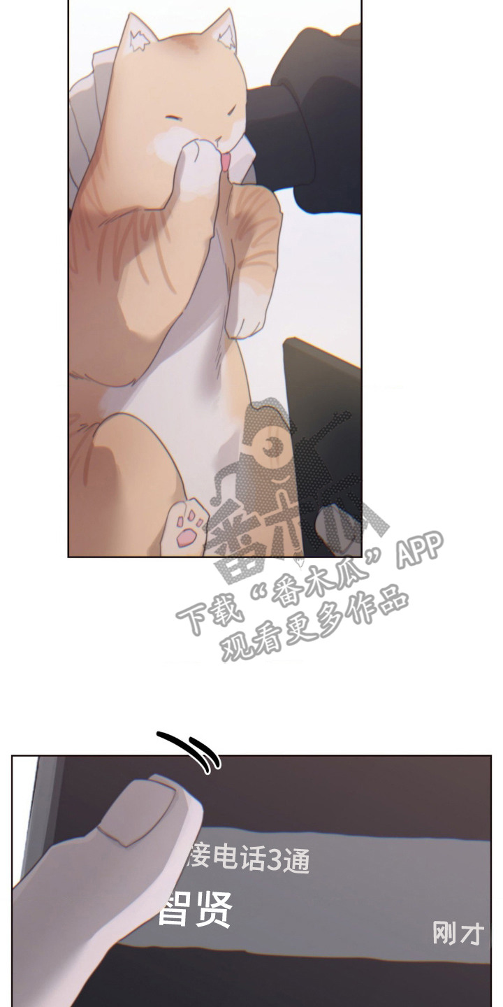婚礼邂逅漫画,第12章：未接来电2图