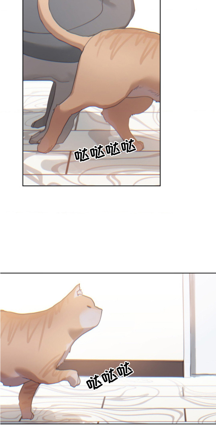婚礼邂逅漫画,第11章：苦恼4图