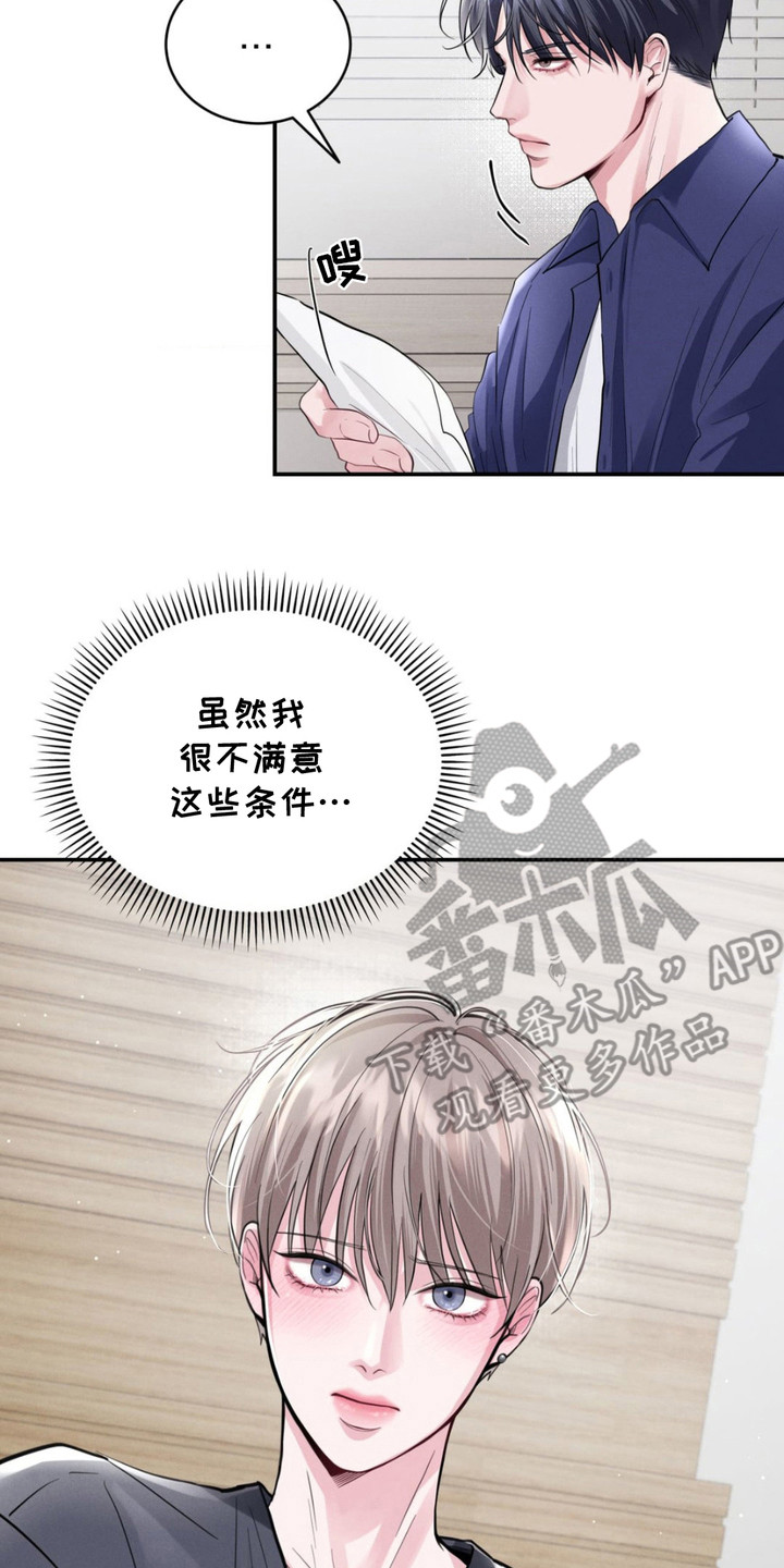 顶级模特推荐漫画,第4章：条件5图