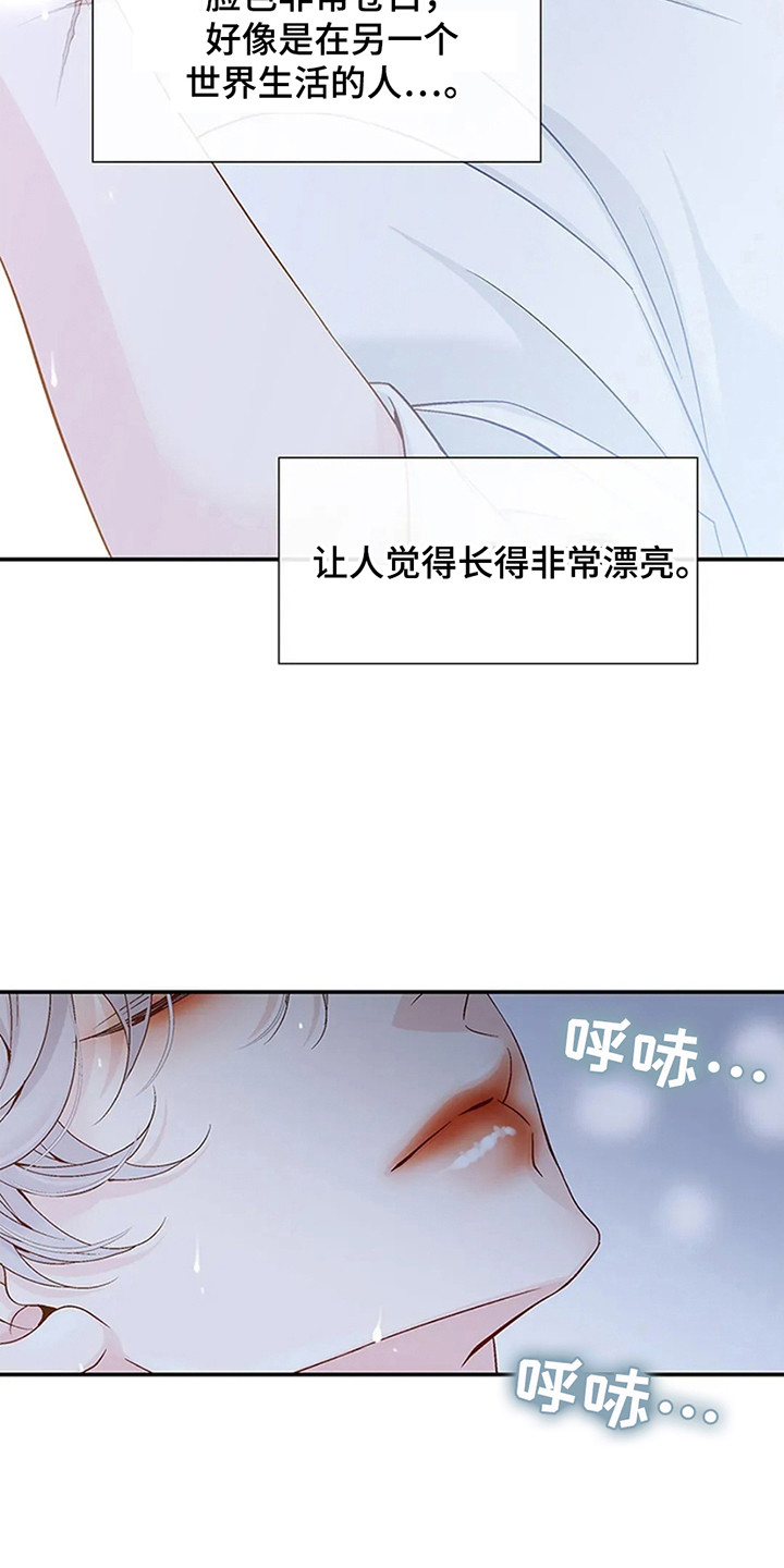 剧毒纽带漫画,第4章：漂亮的男人1图