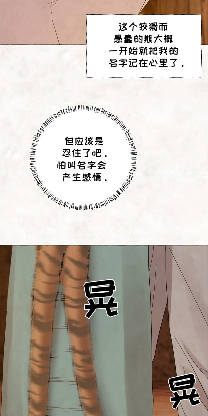 熊出没狂野大陆漫画,第12章：做决定3图