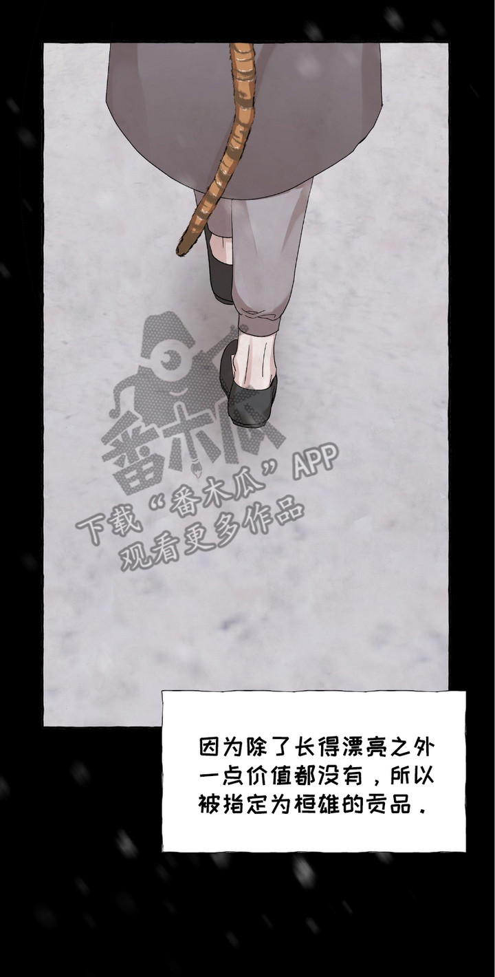 熊磊漫画,第3章：孤儿1图