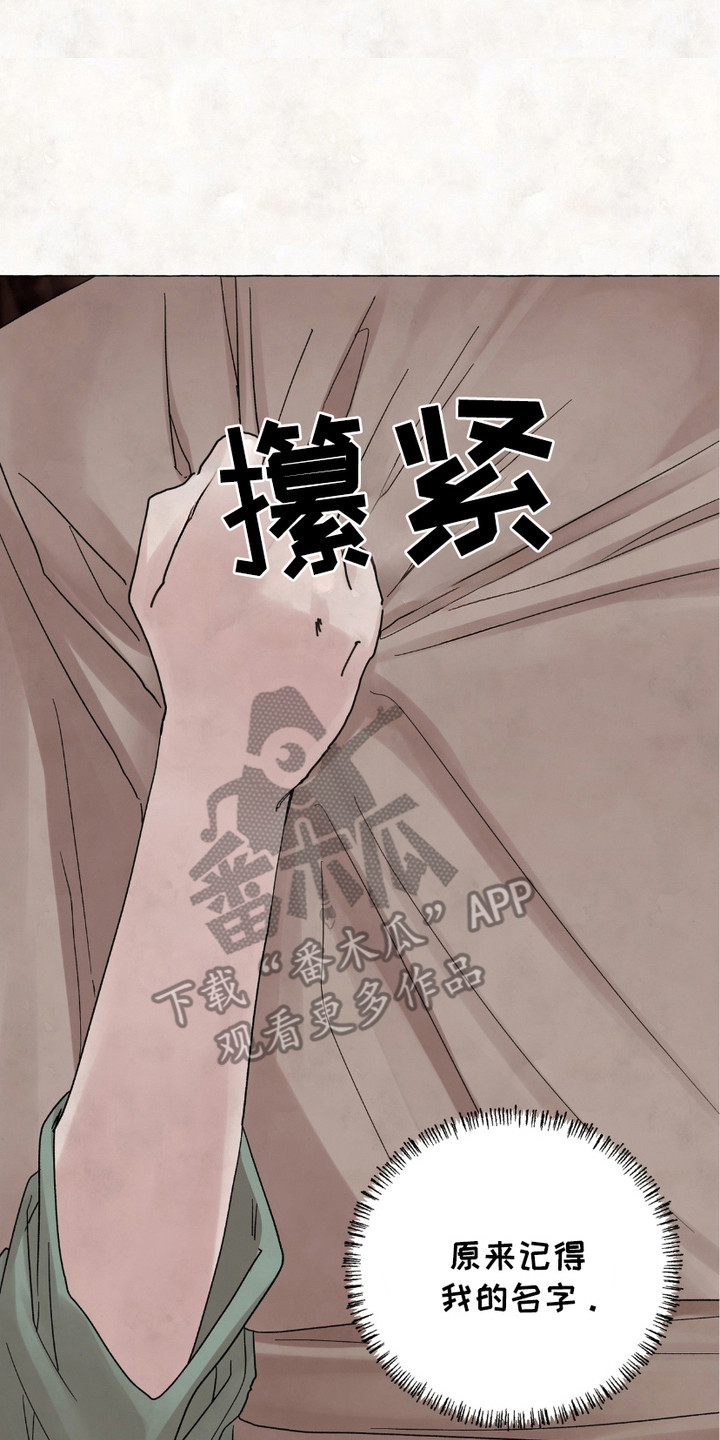 熊出没狂野大陆漫画,第12章：做决定1图