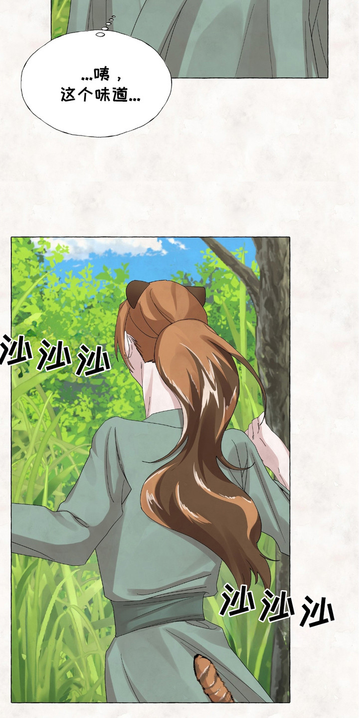 熊出没狂野大陆漫画,第4章：确认一下3图