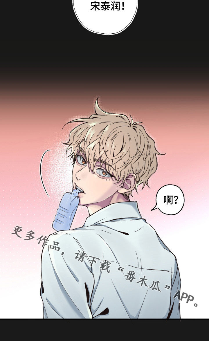 消极的恋爱漫画免费观看全集漫画,第17章：直接道歉1图