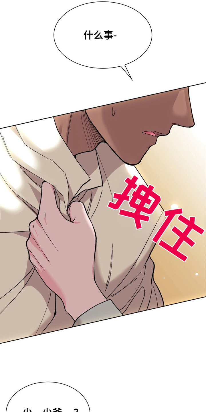 黑皮保镖和少爷漫画,第7章：幻想1图