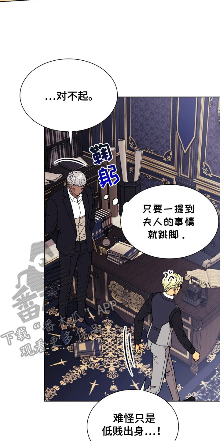 黑皮保镖和少爷漫画,第9章：气的跳脚5图