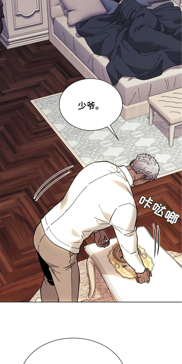 黑皮保镖和少爷漫画,第7章：幻想4图