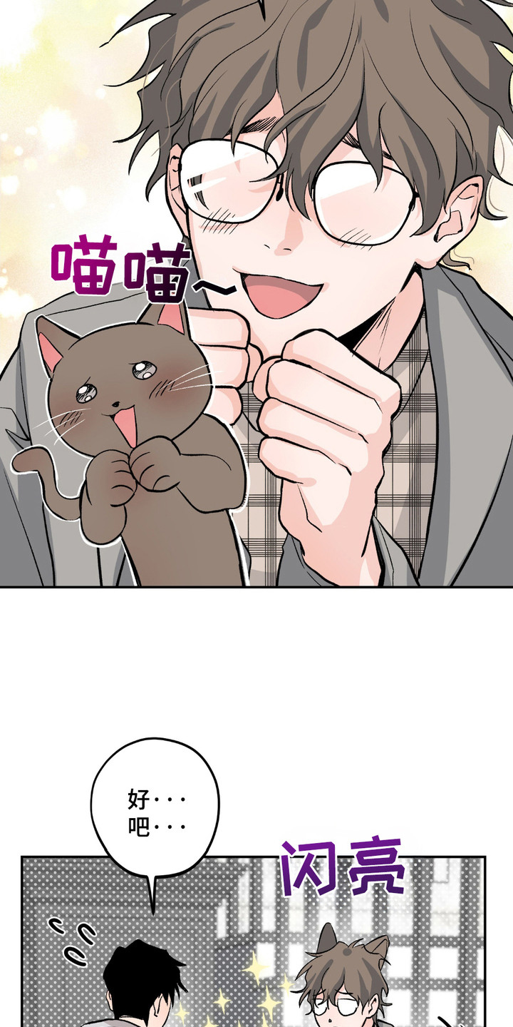 帅哥有保质期吗漫画,第3章：收留4图