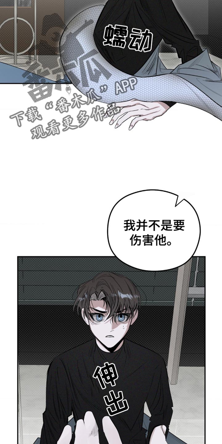 月光蟒影韩漫还是国漫漫画,第12章：有利的存在4图