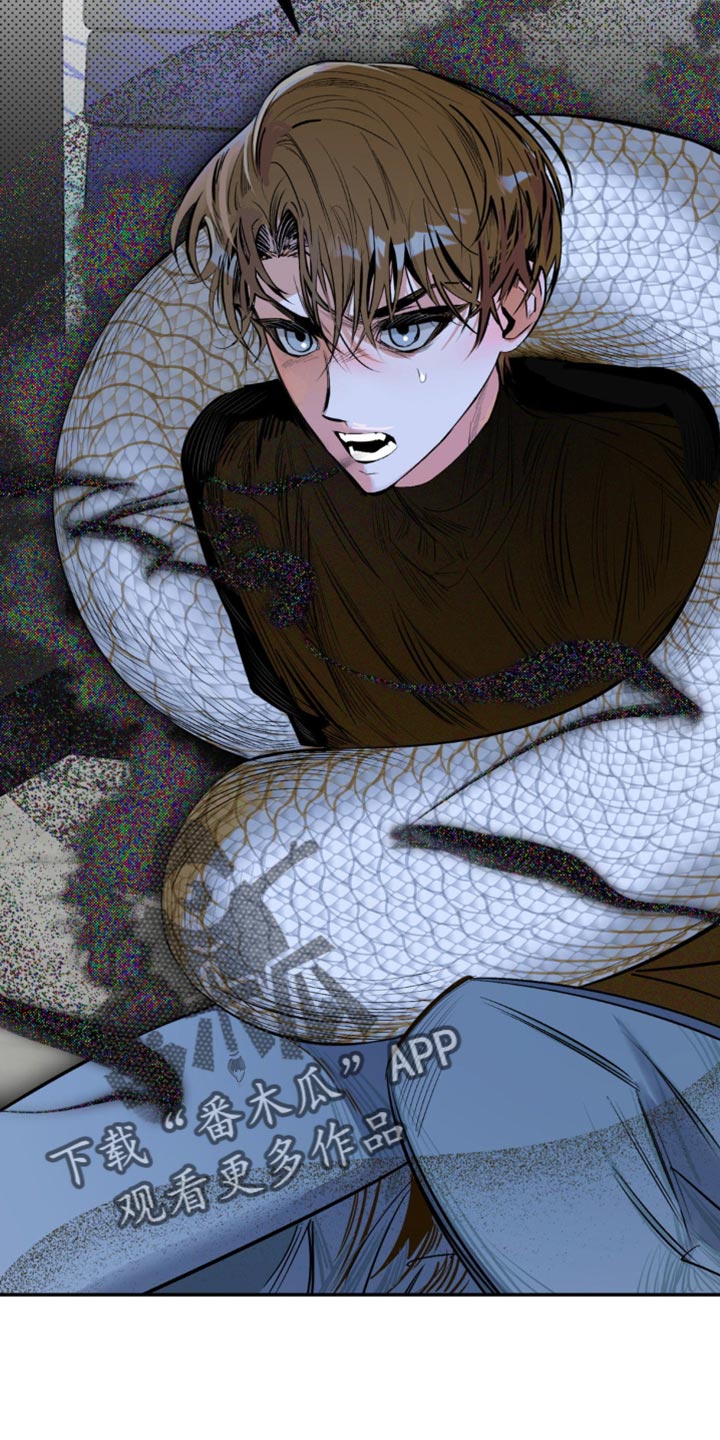 月光蟒影韩漫还是国漫漫画,第12章：有利的存在4图