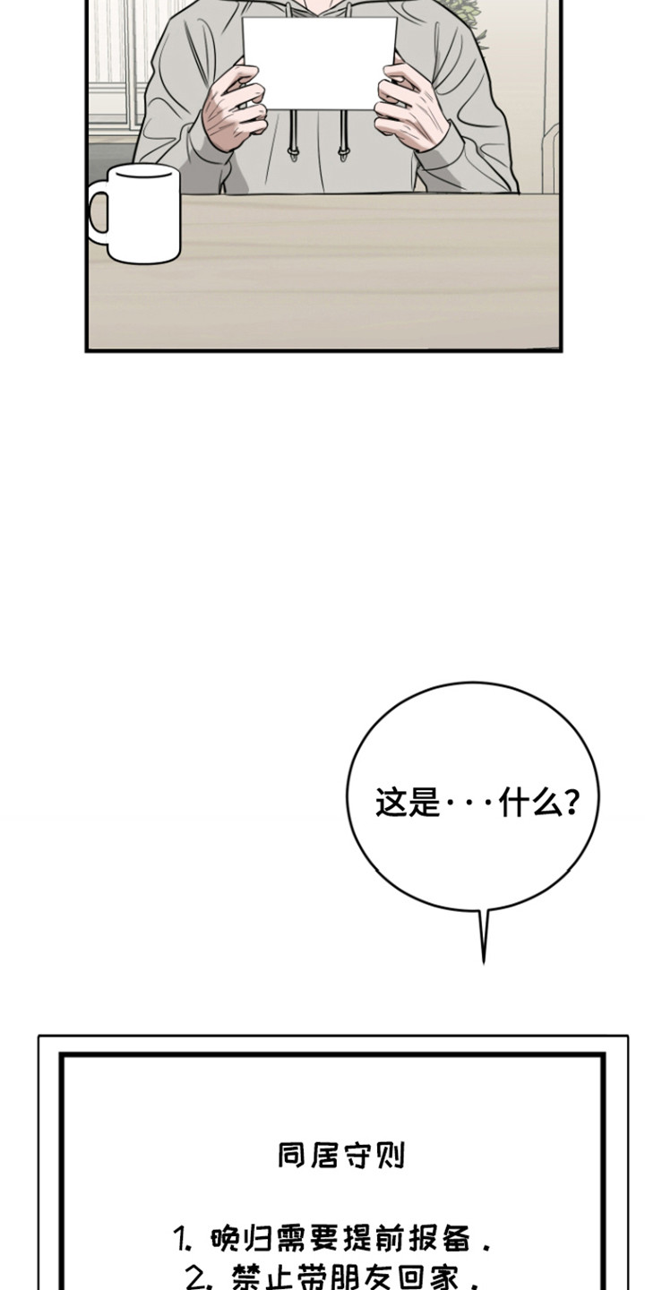 拿下腊戌同盟军和佤邦实力对比漫画,第6章：同居协议2图