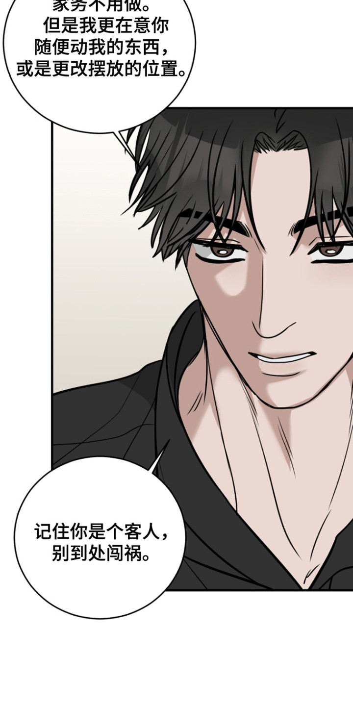 拿下腊戌同盟军和佤邦实力对比漫画,第6章：同居协议5图