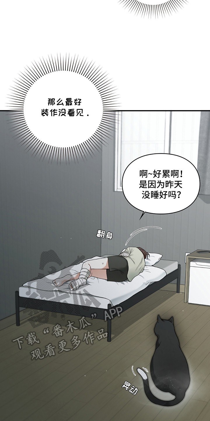 第8章：小黑猫2