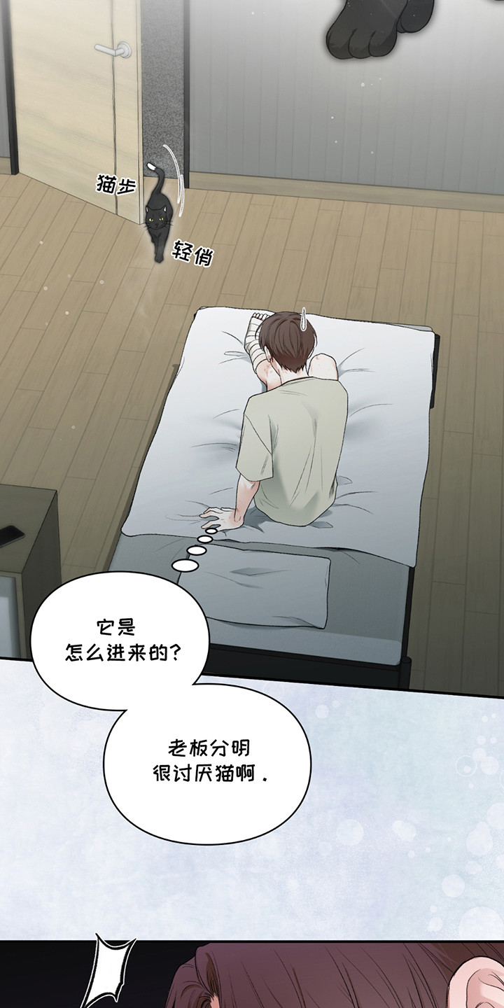 第8章：小黑猫0