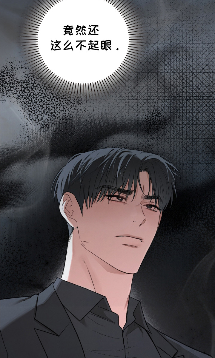 各施其职和各司其职漫画,第11章：咒术2图