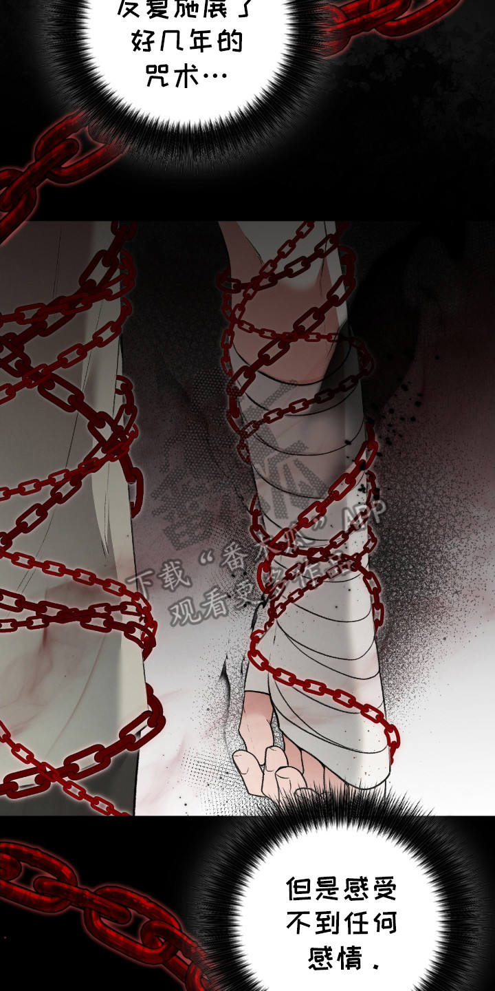 各施其职和各司其职漫画,第11章：咒术3图