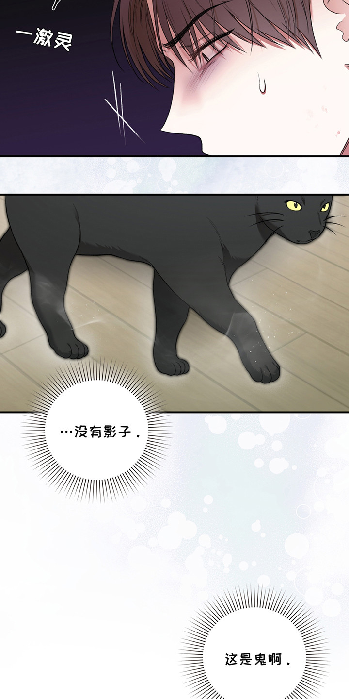 第8章：小黑猫1