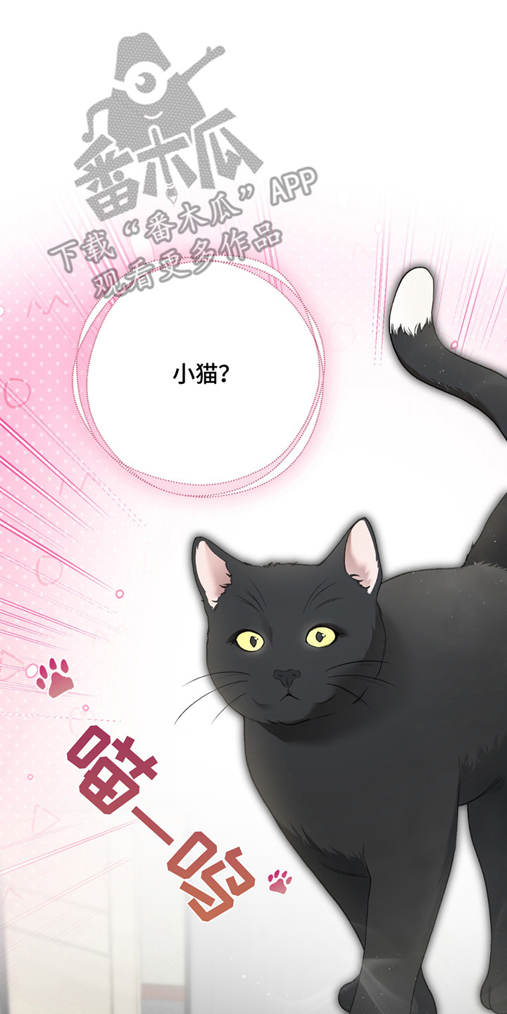 第8章：小黑猫4