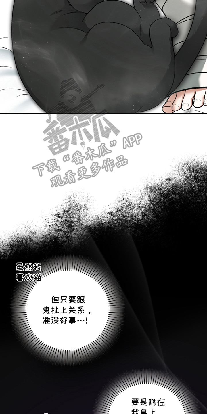 第8章：小黑猫0