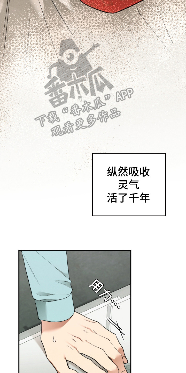 各施其法的意思漫画,第10章：真身4图