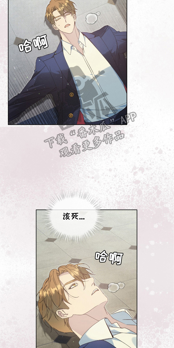 第6章：报复0