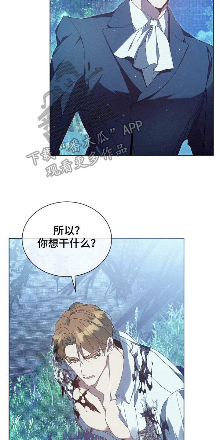 第13章：疑惑3