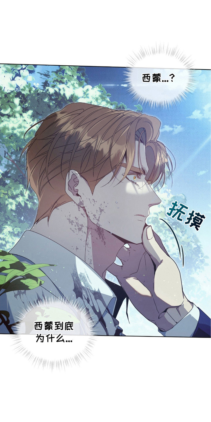 第13章：疑惑0