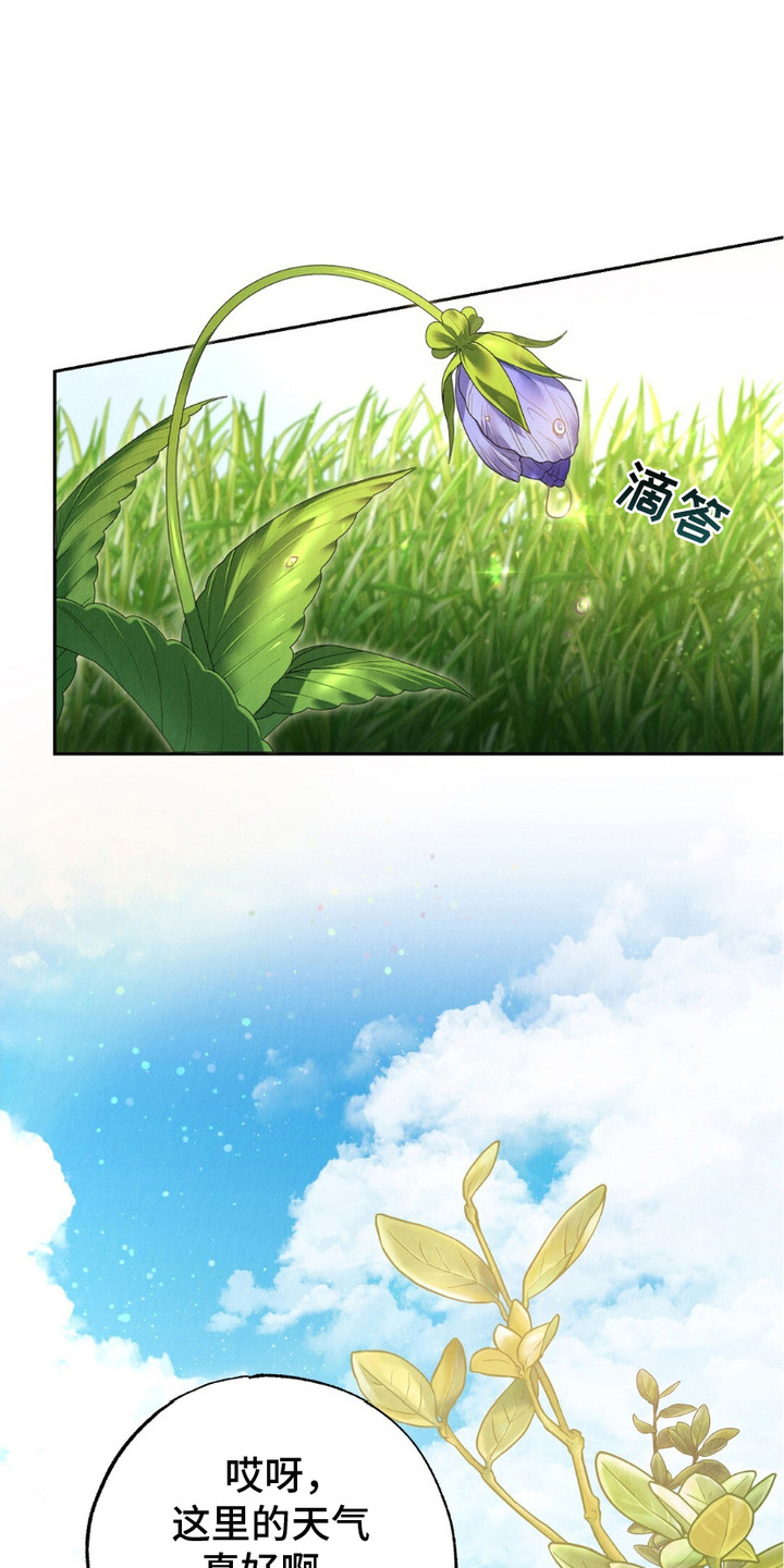 星核天启宿命之链星历漫画,第11章：下决心2图