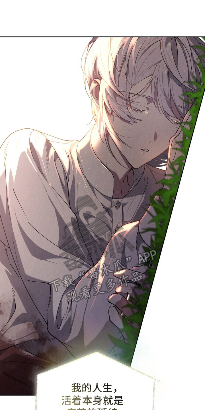 宿命之链漫画,第2章：精灵的祝福5图