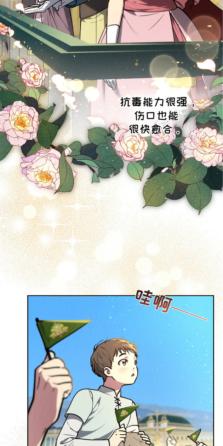 宿命之链漫画,第6章：血脉3图